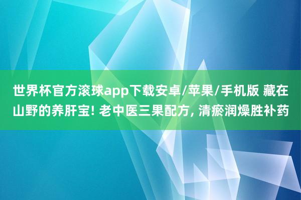 世界杯官方滚球app下载安卓/苹果/手机版 藏在山野的养肝宝! 老中医三果配方, 清瘀润燥胜补药