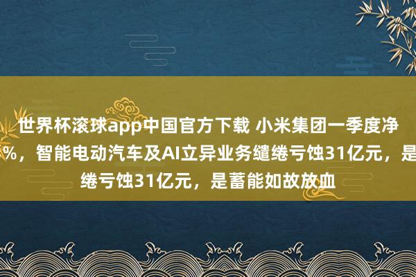 世界杯滚球app中国官方下载 小米集团一季度净利润同比降43%，智能电动汽车及AI立异业务缱绻亏蚀31亿元，是蓄能如故放血