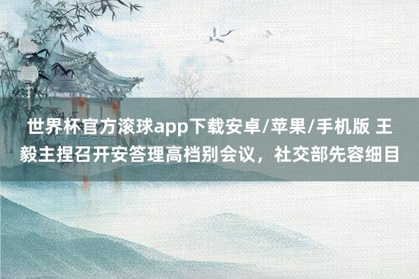 世界杯官方滚球app下载安卓/苹果/手机版 王毅主捏召开安答理高档别会议，社交部先容细目
