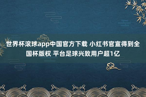 世界杯滚球app中国官方下载 小红书官宣得到全国杯版权 平台足球兴致用户超1亿