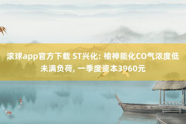 滚球app官方下载 ST兴化: 榆神能化CO气浓度低未满负荷, 一季度资本3960元