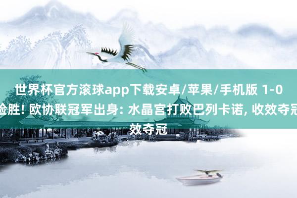 世界杯官方滚球app下载安卓/苹果/手机版 1-0险胜! 欧协联冠军出身: 水晶宫打败巴列卡诺, 收效夺冠