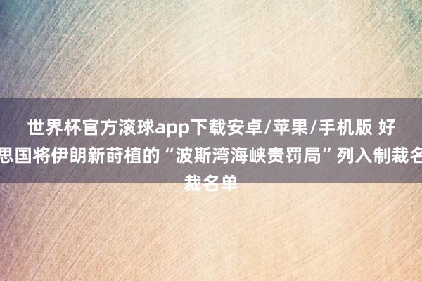 世界杯官方滚球app下载安卓/苹果/手机版 好意思国将伊朗新莳植的“波斯湾海峡责罚局”列入制裁名单