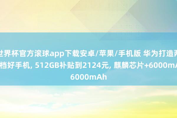世界杯官方滚球app下载安卓/苹果/手机版 华为打造两千档好手机, 512GB补贴到2124元, 麒麟芯片+6000mAh