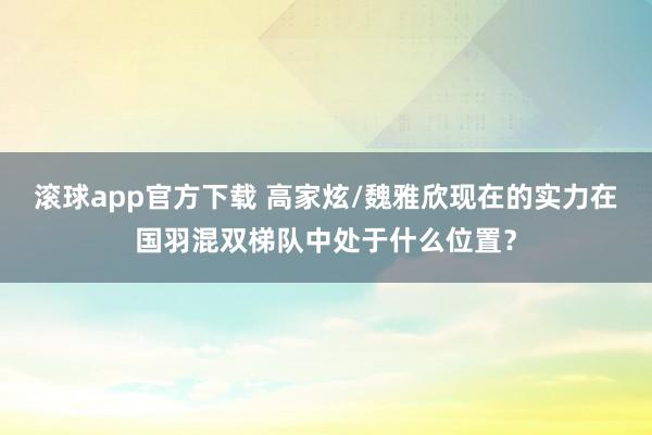 滚球app官方下载 高家炫/魏雅欣现在的实力在国羽混双梯队中处于什么位置？