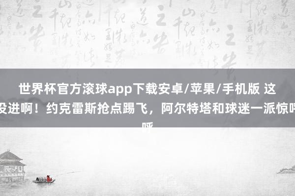世界杯官方滚球app下载安卓/苹果/手机版 这没进啊！约克雷斯抢点踢飞，阿尔特塔和球迷一派惊呼