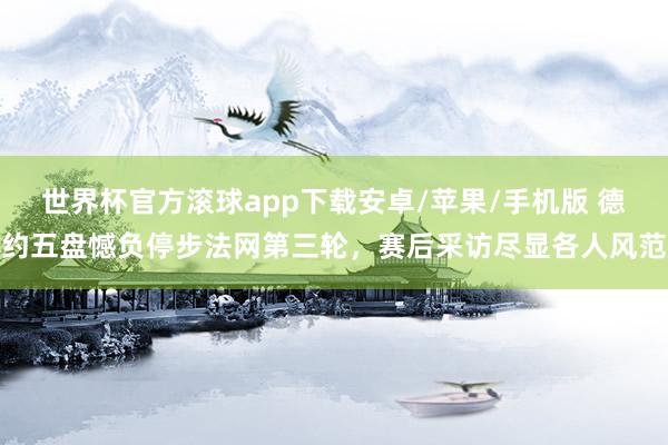 世界杯官方滚球app下载安卓/苹果/手机版 德约五盘憾负停步法网第三轮，赛后采访尽显各人风范