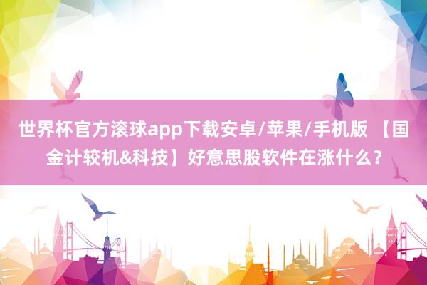 世界杯官方滚球app下载安卓/苹果/手机版 【国金计较机&科技】好意思股软件在涨什么？