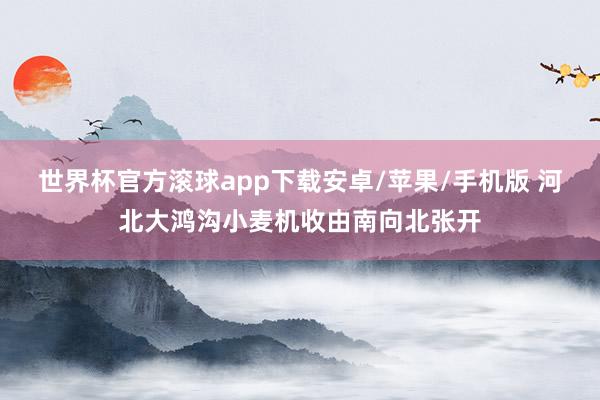 世界杯官方滚球app下载安卓/苹果/手机版 河北大鸿沟小麦机收由南向北张开
