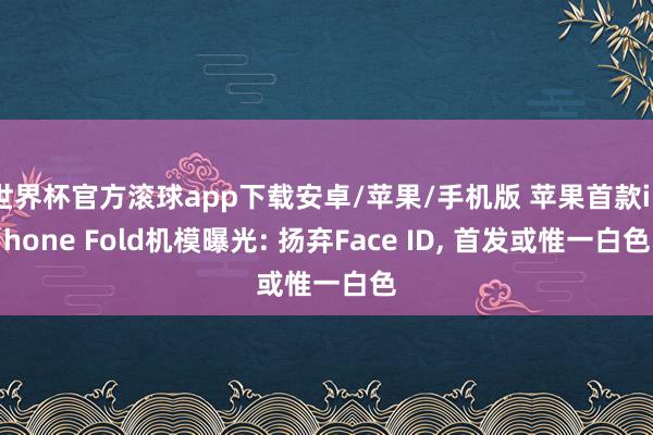 世界杯官方滚球app下载安卓/苹果/手机版 苹果首款iPhone Fold机模曝光: 扬弃Face ID， 首发或惟一白色