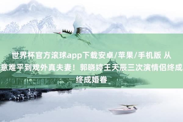 世界杯官方滚球app下载安卓/苹果/手机版 从戏里意难平到戏外真夫妻！郭晓婷王天辰三次演情侣终成婚眷