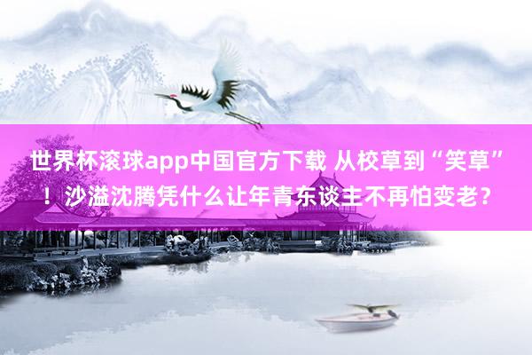 世界杯滚球app中国官方下载 从校草到“笑草”！沙溢沈腾凭什么让年青东谈主不再怕变老？