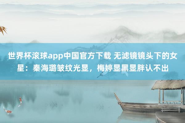 世界杯滚球app中国官方下载 无滤镜镜头下的女星：秦海璐皱纹光显，梅婷显黑显胖认不出