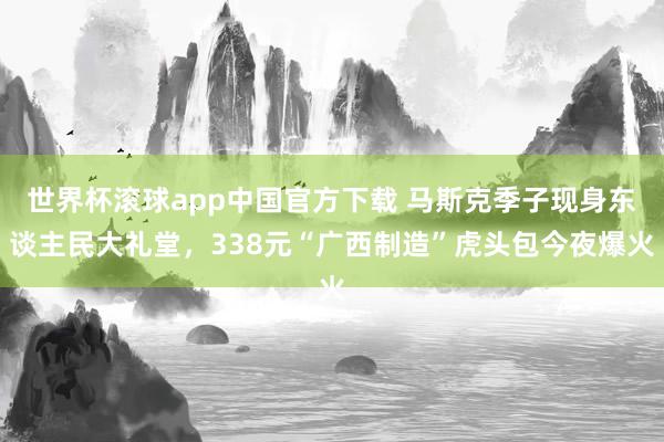 世界杯滚球app中国官方下载 马斯克季子现身东谈主民大礼堂,338元“广西制造”虎头包今夜爆火