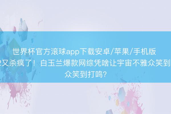世界杯官方滚球app下载安卓/苹果/手机版 喜夜2又杀疯了！白玉兰爆款网综凭啥让宇宙不雅众笑到打鸣？